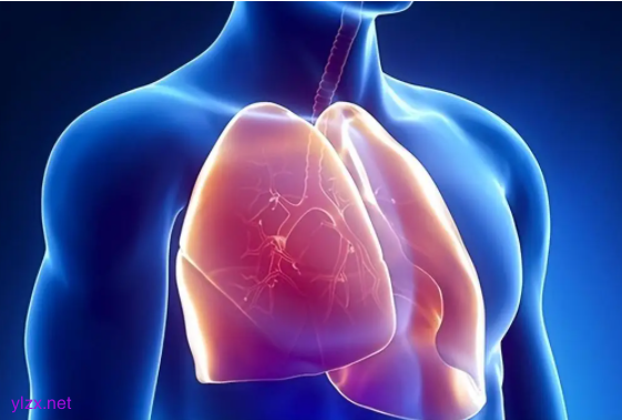 长期熬夜加班，27岁女白领同时患上多种结核病