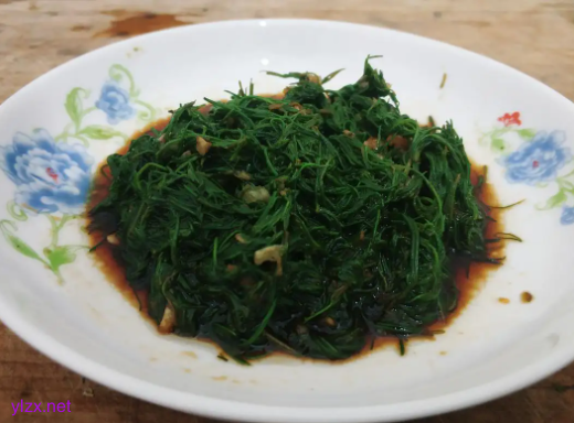 糖尿病患者可以吃猪毛菜吗?猪毛菜多吃可以控糖吗?