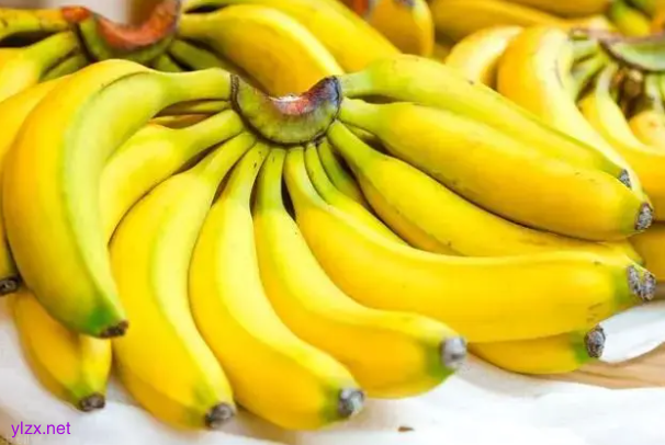 减肥、减碳、省钱！这种一箭三雕的好事 你肯定不知道