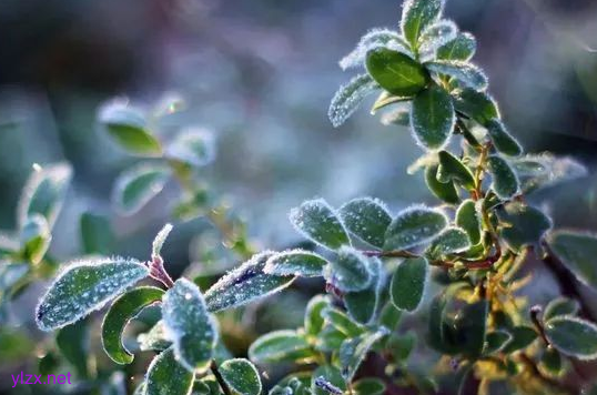 冷空气突袭广东降温雨水霜冻 4月或有4次冷空气+降水! 冷空气突袭广东降温雨水霜冻 4月或有4次冷空气+降水!