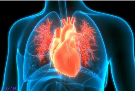 猝死前1个月身体会有何表现 25岁“世纪婴儿”猝死!