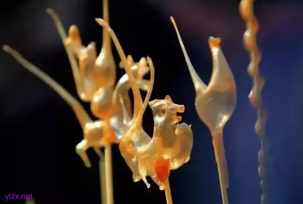 5岁男童吃搅搅糖不慎摔倒，竹签插喉7厘米