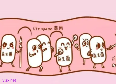 消化不好是肠道缺乏有益菌吗?哪些食物可以增加肠道有益菌?