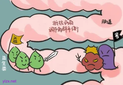 消化不好是肠道缺乏有益菌吗?哪些食物可以增加肠道有益菌?