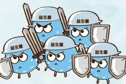 消化不好是肠道缺乏有益菌吗?哪些食物可以增加肠道有益菌?