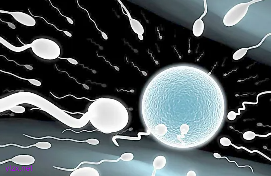 男性有高血压能要孩子吗？男性高血压患者吃降压药会影响精子吗？