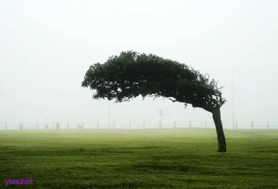 为啥4月有这么极端的大风 为何今年春季大风如此频繁? 为啥4月有这么极端的大风 为何今年春季大风如此频繁?