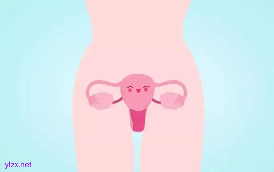 幼稚型子宫能治好吗?得了幼稚子宫就会不孕吗? 幼稚型子宫能治好吗?得了幼稚子宫就会不孕吗?