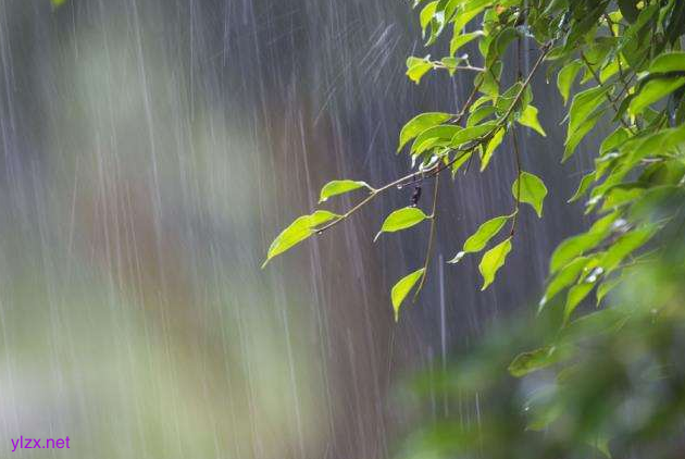 谷雨时节老年人保暖祛湿很重要 谷雨时节老年人保暖祛湿很重要
