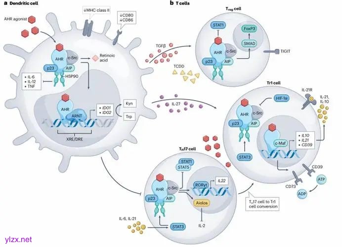 图示

AI 生成的内容可能不正确。