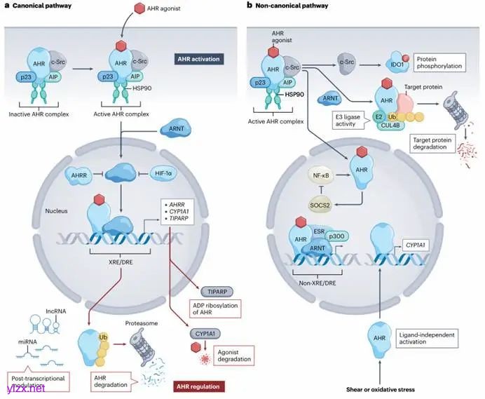 图示

AI 生成的内容可能不正确。