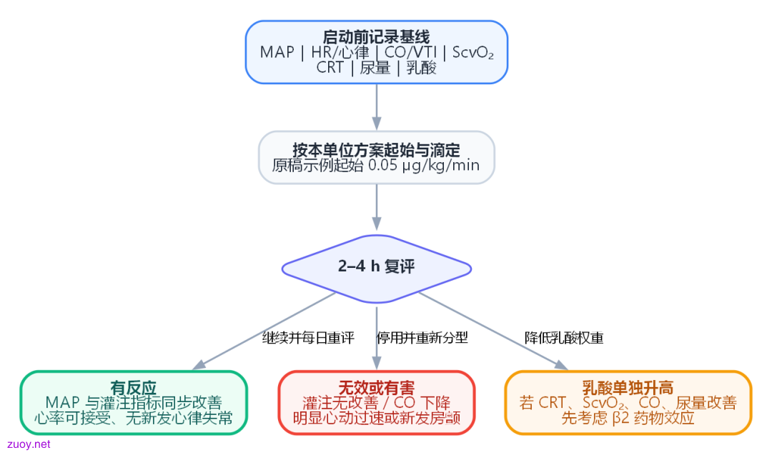 图 3|若决定使用肾上腺素:把它设计成一次限时试验